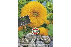 Sonnenbl. Hohe Sonneng.