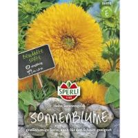 Sonnenbl. Hohe Sonneng.