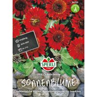 Sonnenbl. Rote Sonne