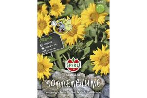 Sonnenblume Santa Lucia