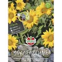 Sonnenblume Santa Lucia