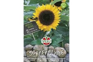 Sonnenblumen. Full Sun