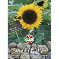 Sonnenblumen. Full Sun