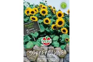 Sonnenblumen. Gigant