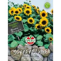 Sonnenblumen. Gigant