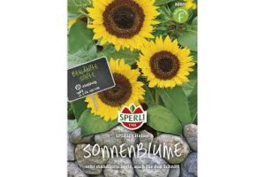 Sonnenblumen. Helios