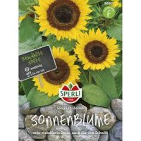 Sonnenblumen. Helios