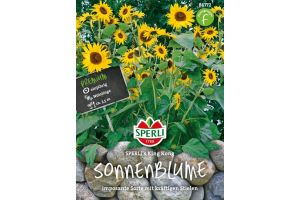 Sonnenblumen. King Kong