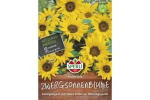Sonnenblumen. Pacino
