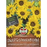 Sonnenblumen. Pacino