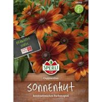 Sonnenhut Cappucino
