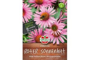 Sonnenhut. Clio
