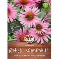 Sonnenhut. Clio