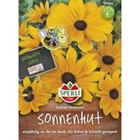 Sonnenhut. Indian Summer