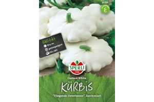 Speisekürb. Custard White