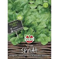 Spinat. Monnopa