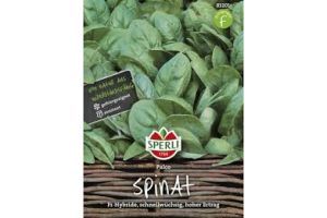 Spinat. Palco