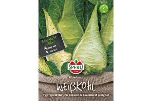 Spitzkohl. Filderkraut