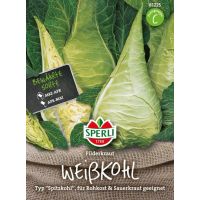 Spitzkohl. Filderkraut