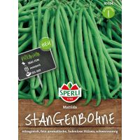 Stangenbohne Matilda