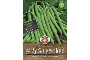 Stangenbohnen. Blauhilde