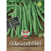 Stangenbohnen. Rakker