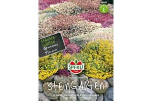 Steingarten Stauden