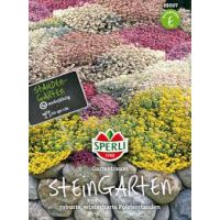 Steingarten Stauden
