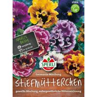 Stiefmüt. Germania Mix