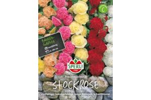 Stockrosen. Prachtmix