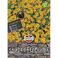 Studentenbl. Orangemeer