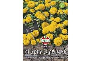Studentenbl. Petite Gelb