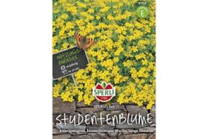 Studentenbl. Sol