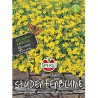 Studentenbl. Sol
