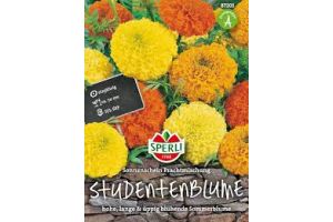 Studentenbl. Sonnenschein