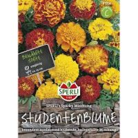 Studentenbl. Sparki Mix