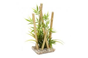 Sydeco bamboo large plants