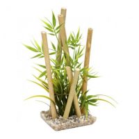 Sydeco bamboo large plants