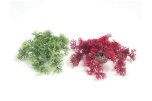 Sydeco tropical moss