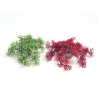 Sydeco tropical moss
