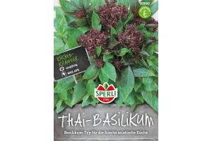 Thai Basilikum. Thai