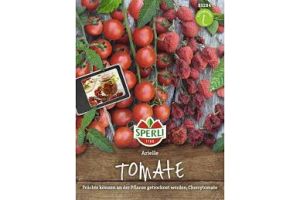 Tomate Arielle (Cherry-Tomate)