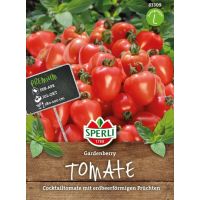 Tomate Gardenberry