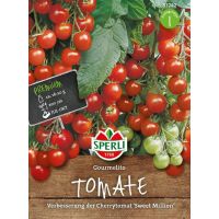 Tomate Gourmelito