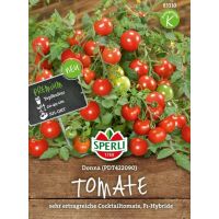 Tomate PDT422090 (Donna)