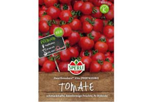 Tomate PHBT410080 (Heart