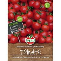 Tomate PHBT410080 (Heart