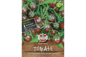 Tomaten Black Cherry