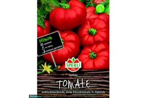 Tomaten  Delizia F1