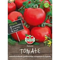 Tomaten. Fantasio